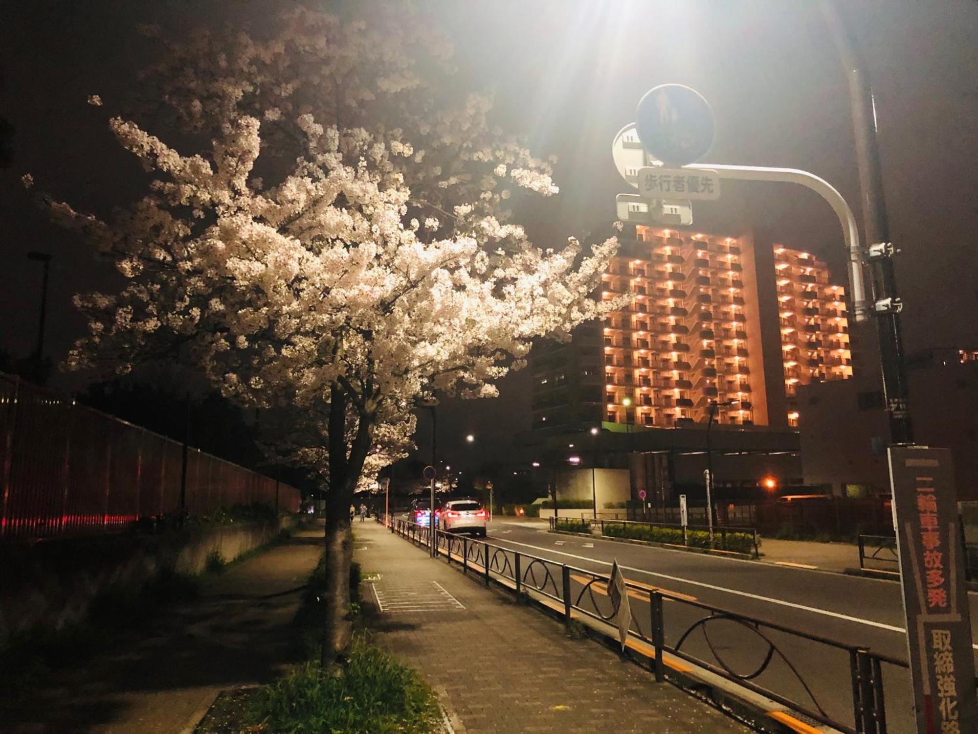 Jl 東京 House - 駐車場付き築浅のまるごと貸切住宅 Токио Екстериор снимка